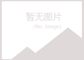 山东紫山能源有限公司